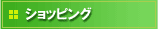 �V���b�s���O