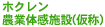 �H�ŏ΂����B