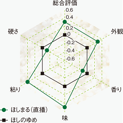 炊飯特性試験