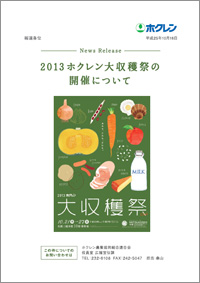 折込チラシ
