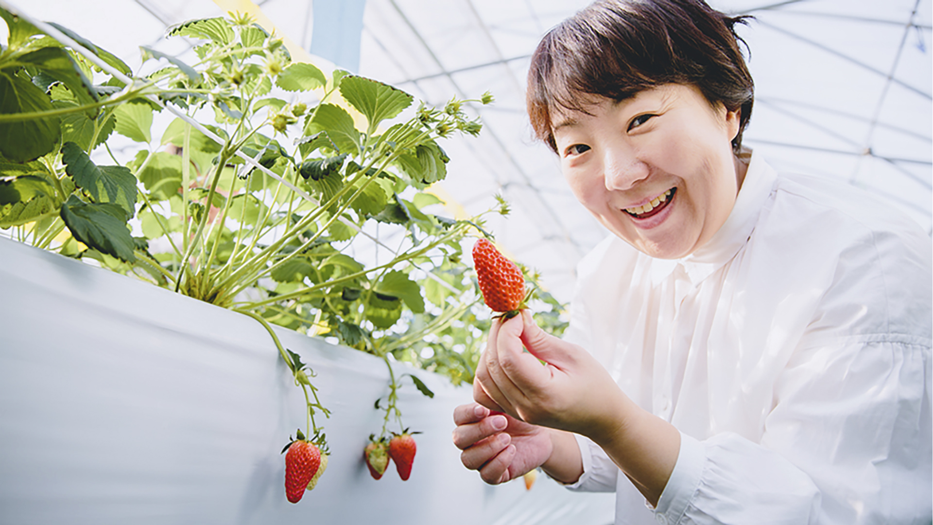 「いちごを収穫してカップケーキを作ろう」に初参加♪