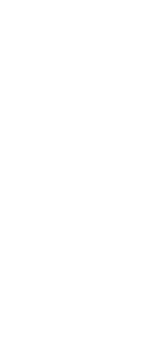 素材の個性が調和した北海道チーズケーキ