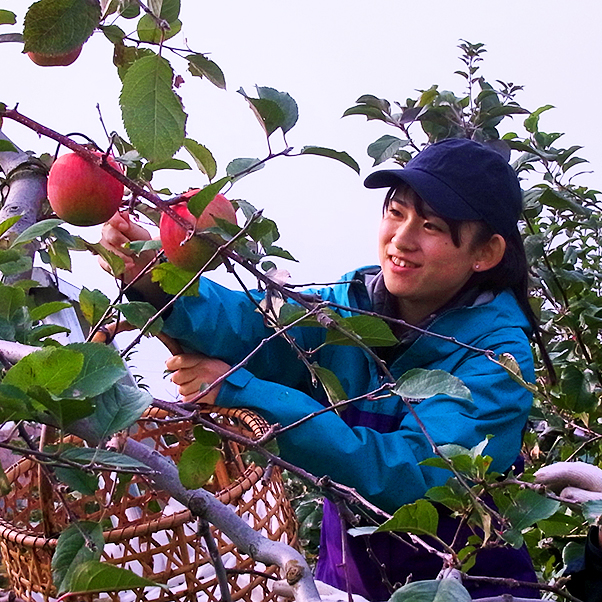 北海道大学 農学部 生物資源科学科