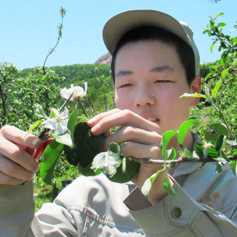 北海道壮瞥(そうべつ)高等学校