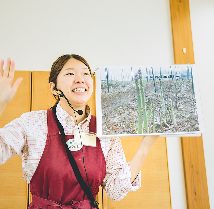 欲張ってはいけません！アスパラガスの収穫は3年目から