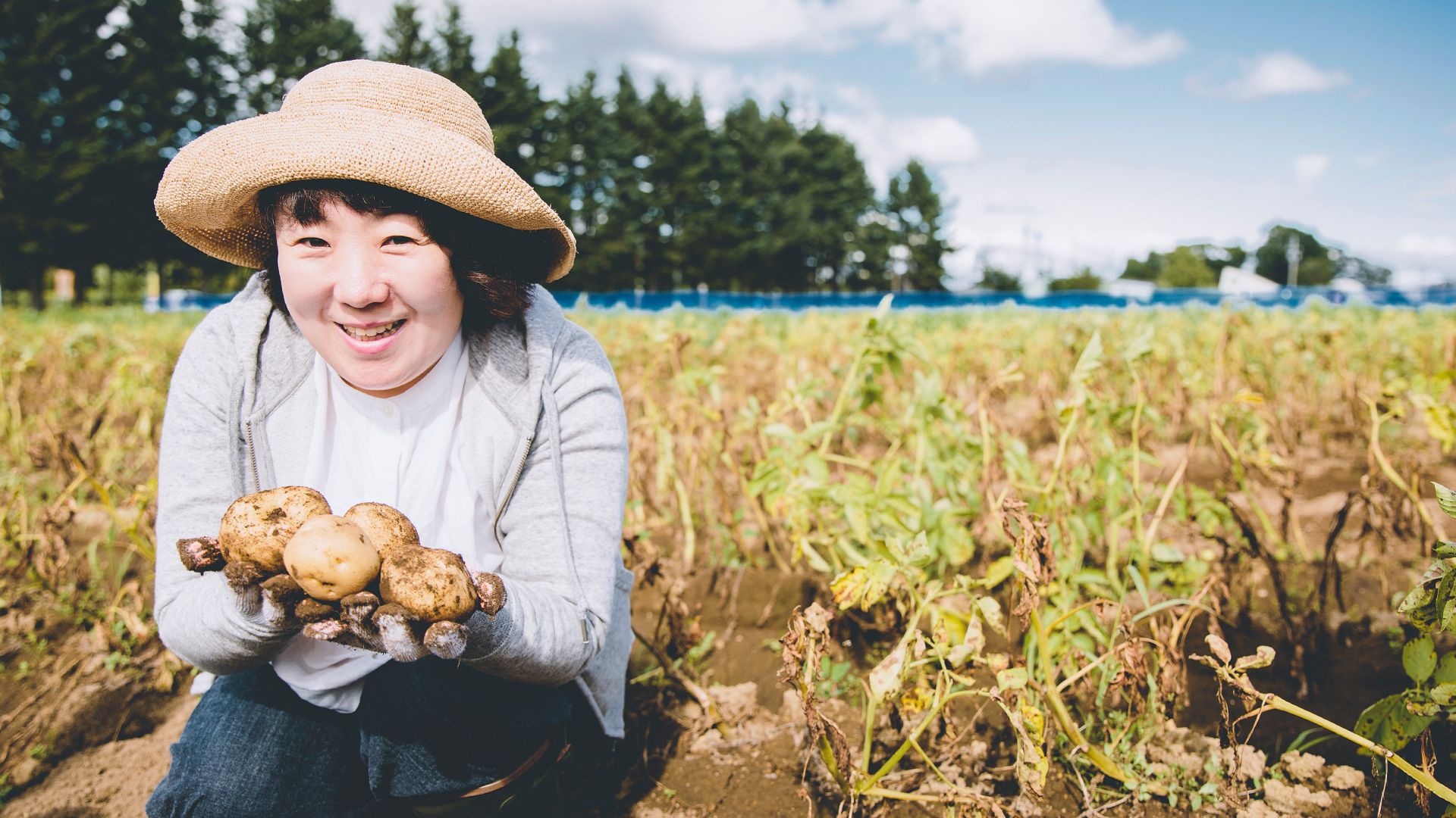 「じゃがいもとえだまめを収穫して畑で食べよう」を体験しました