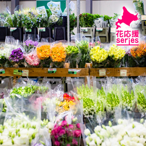 あなたに届け! 北海道育ちの花