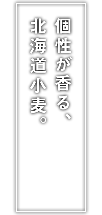 『ゆめちから』生産者