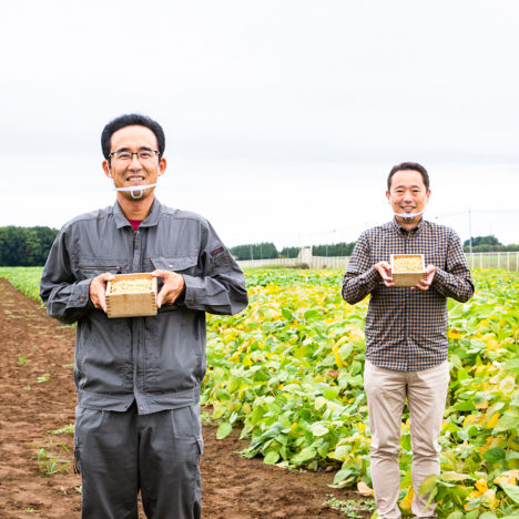 大豆｢とよまどか｣