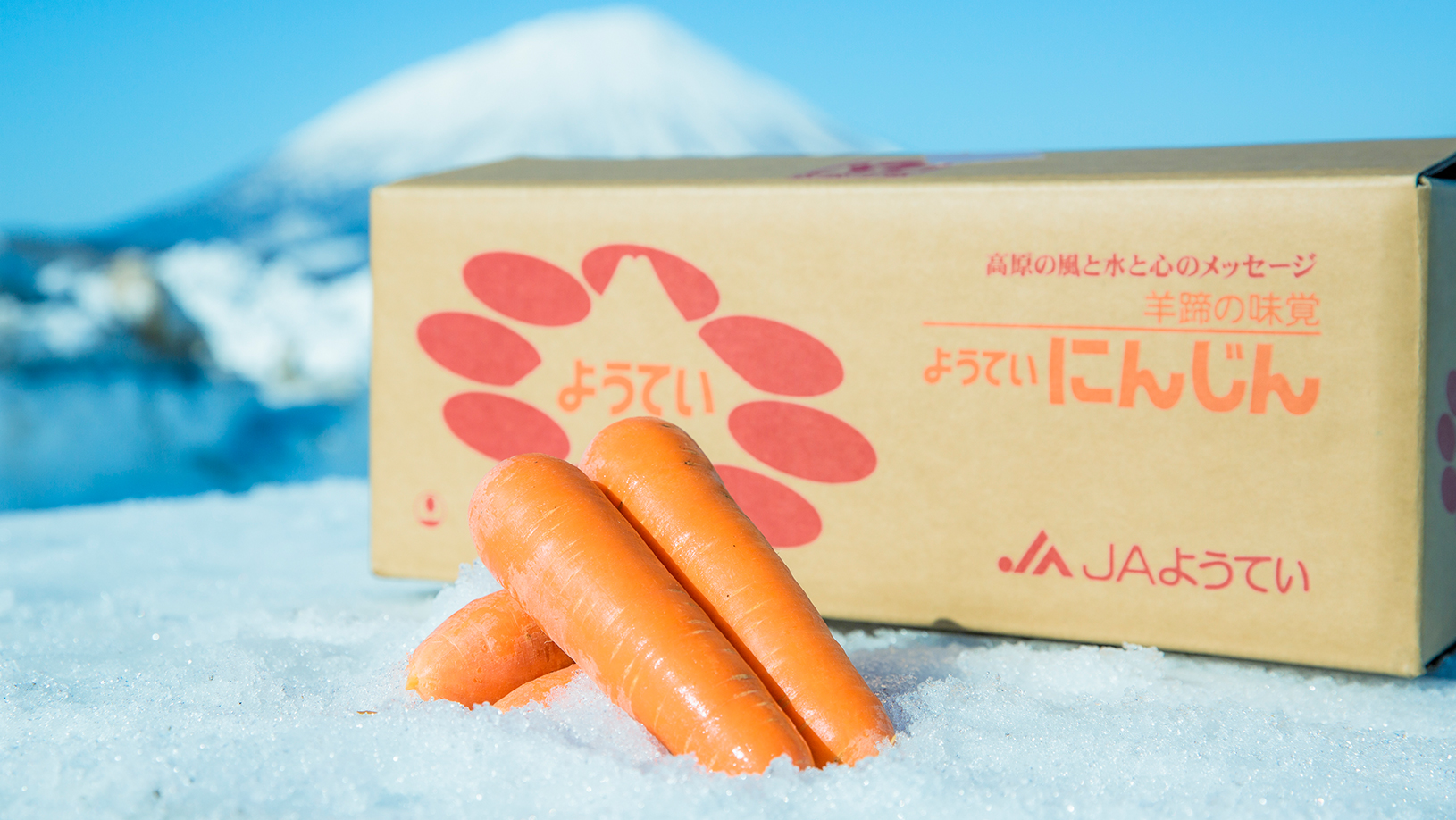 雪下にんじん(訳あり)10kg | 吉粋(きっすい) 北海道から全国へ