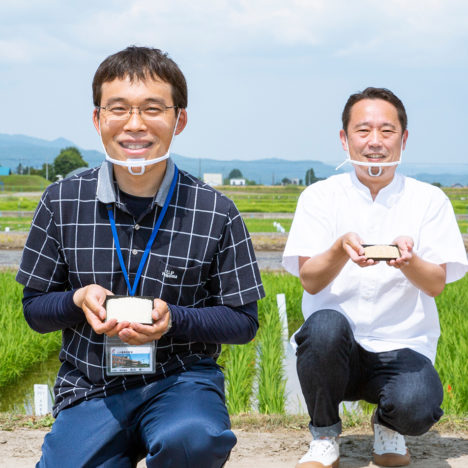 直播向け品種｢えみまる｣