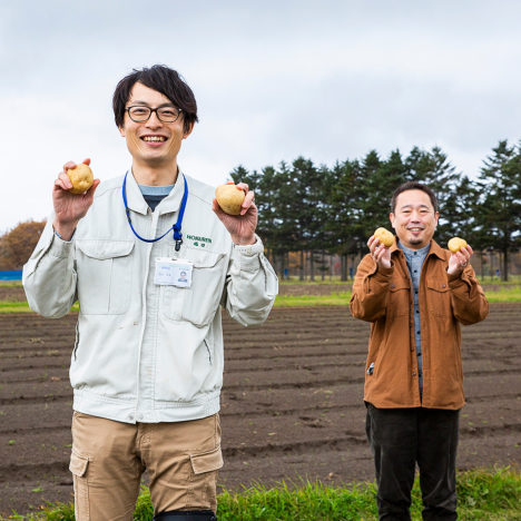 じゃがいも｢きたかむい｣