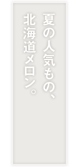 夏の人気もの､北海道メロン｡