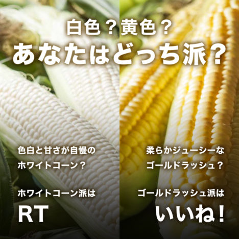 ホクレンGREEN公式<br>Twitterキャンペーン第5弾