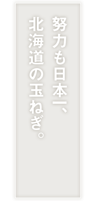 努力も日本一､北海道の玉ねぎ｡