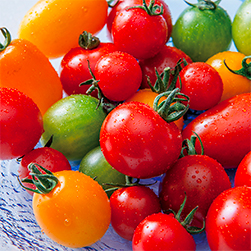 冊子No.317 特集記事／夏こそ食べたい！北海道産トマト。