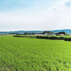 GREEN写真館／Vol.36 恵みの大地､一瞬一旬③ 見ているのか､見られているのか