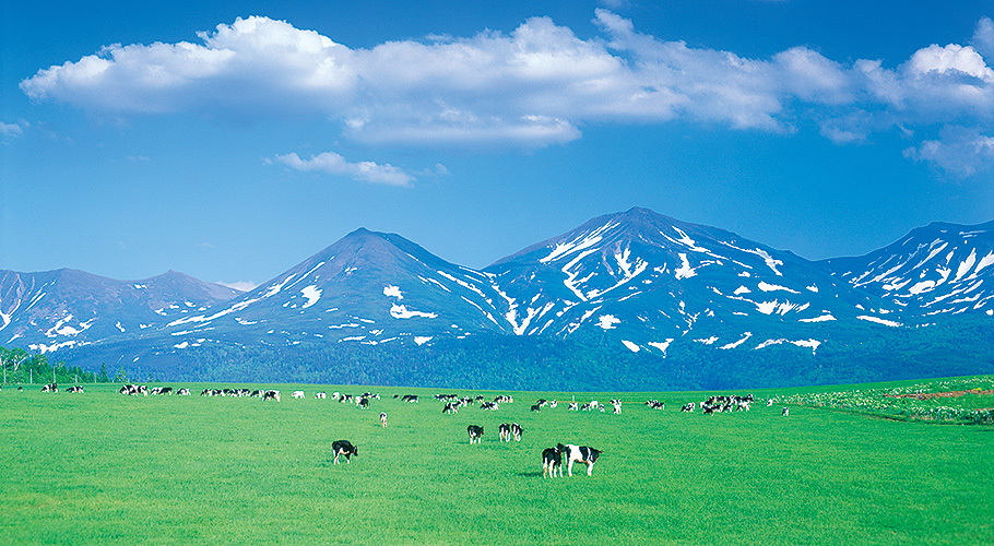 北海道名物｢うししごと｣