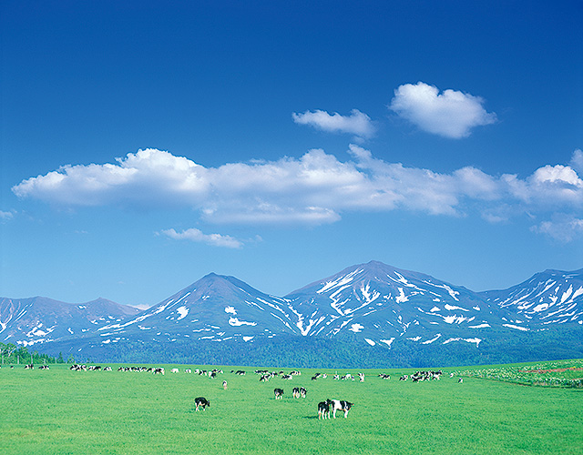 北海道名物｢うししごと｣