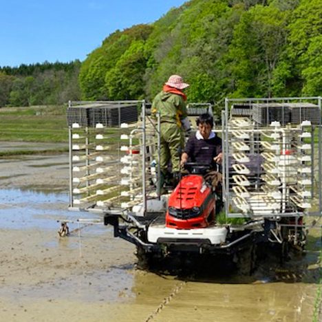 北海道における｢みどり法｣グループ認定第1号