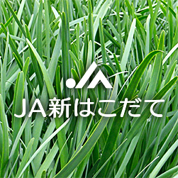 JA新はこだて