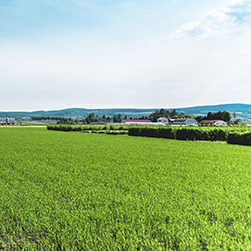 GREEN写真館／Vol.36 恵みの大地、一瞬一旬③ 見ているのか､見られているのか