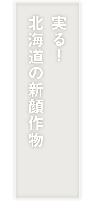にんにく／JA十勝清水町