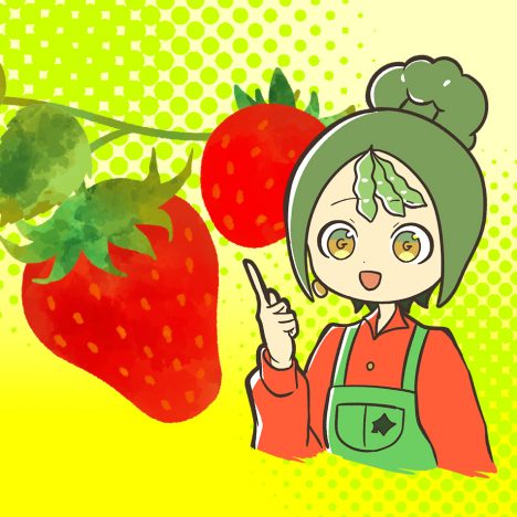 いちご