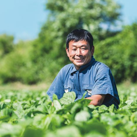 小豆生産者