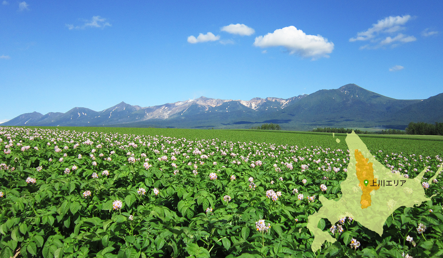 上川エリア