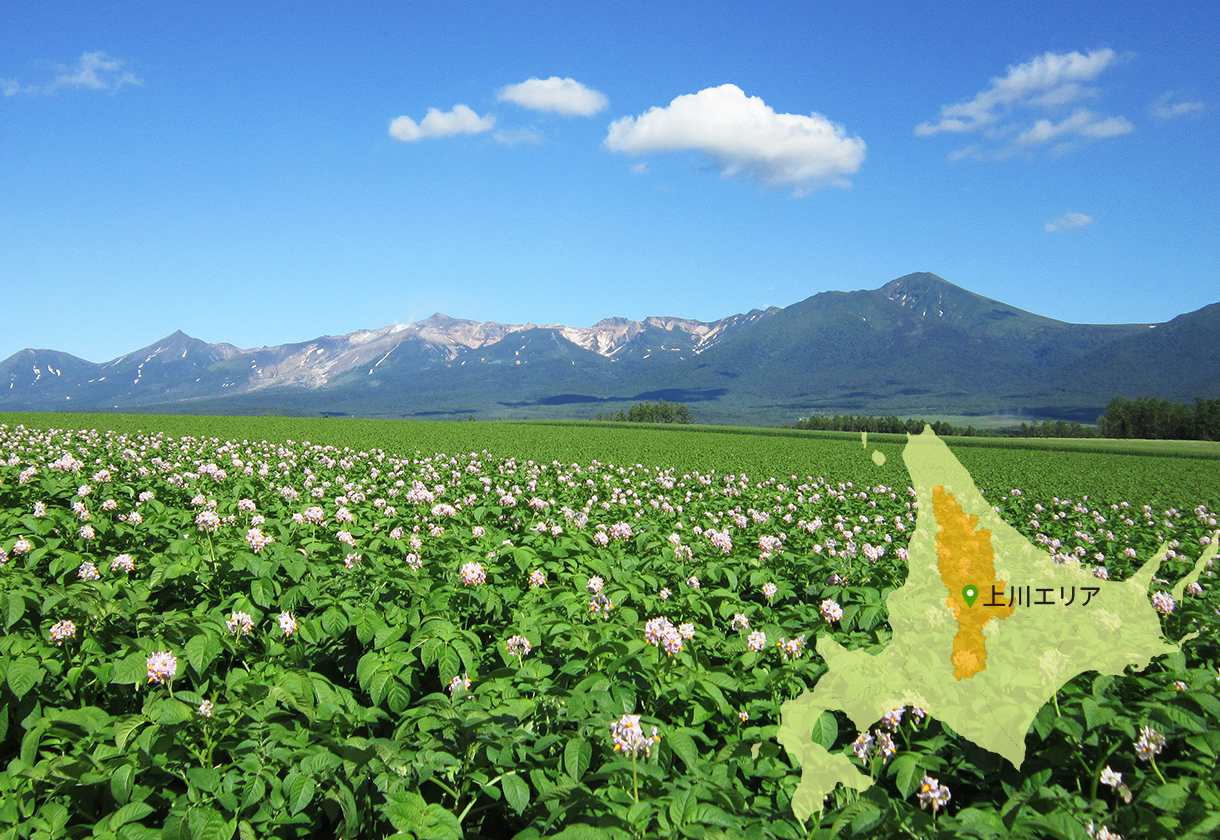 上川エリア