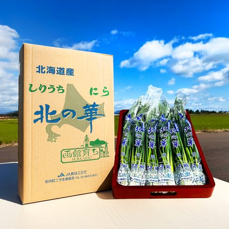 【 JA新はこだて 】GI認証で注目高まる､ブランドにら。