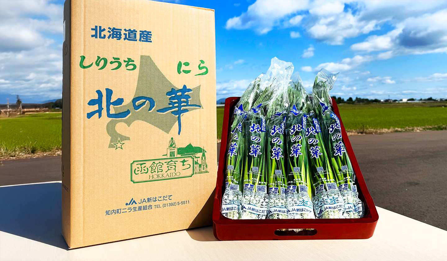 【 JA新はこだて 】GI認証で注目高まる､ブランドにら。
