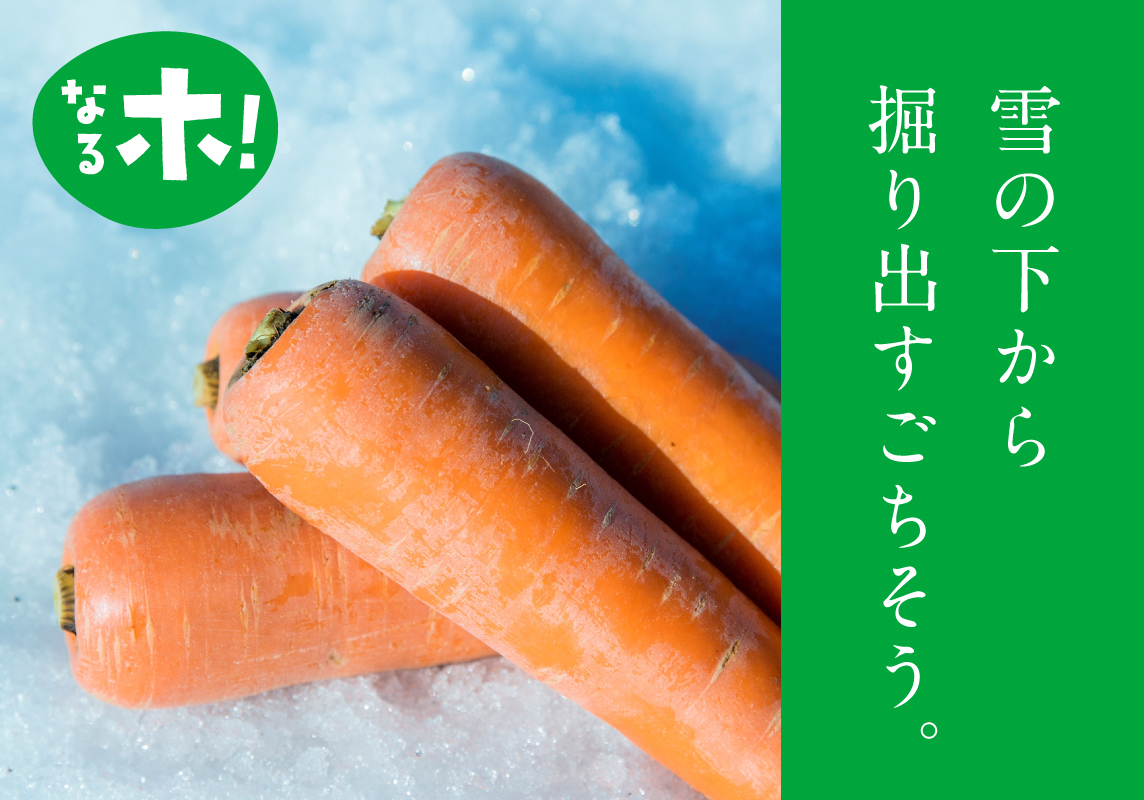 収穫は手作業で｡