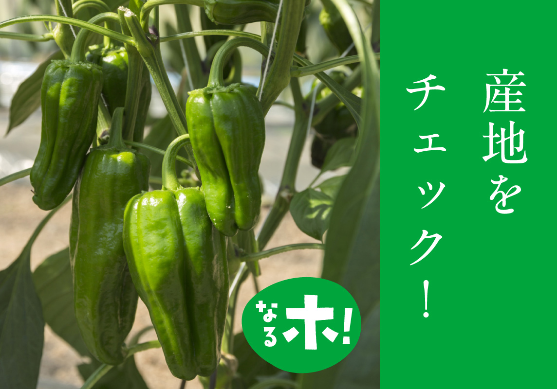 馬がいる土地柄をいかした 土づくり