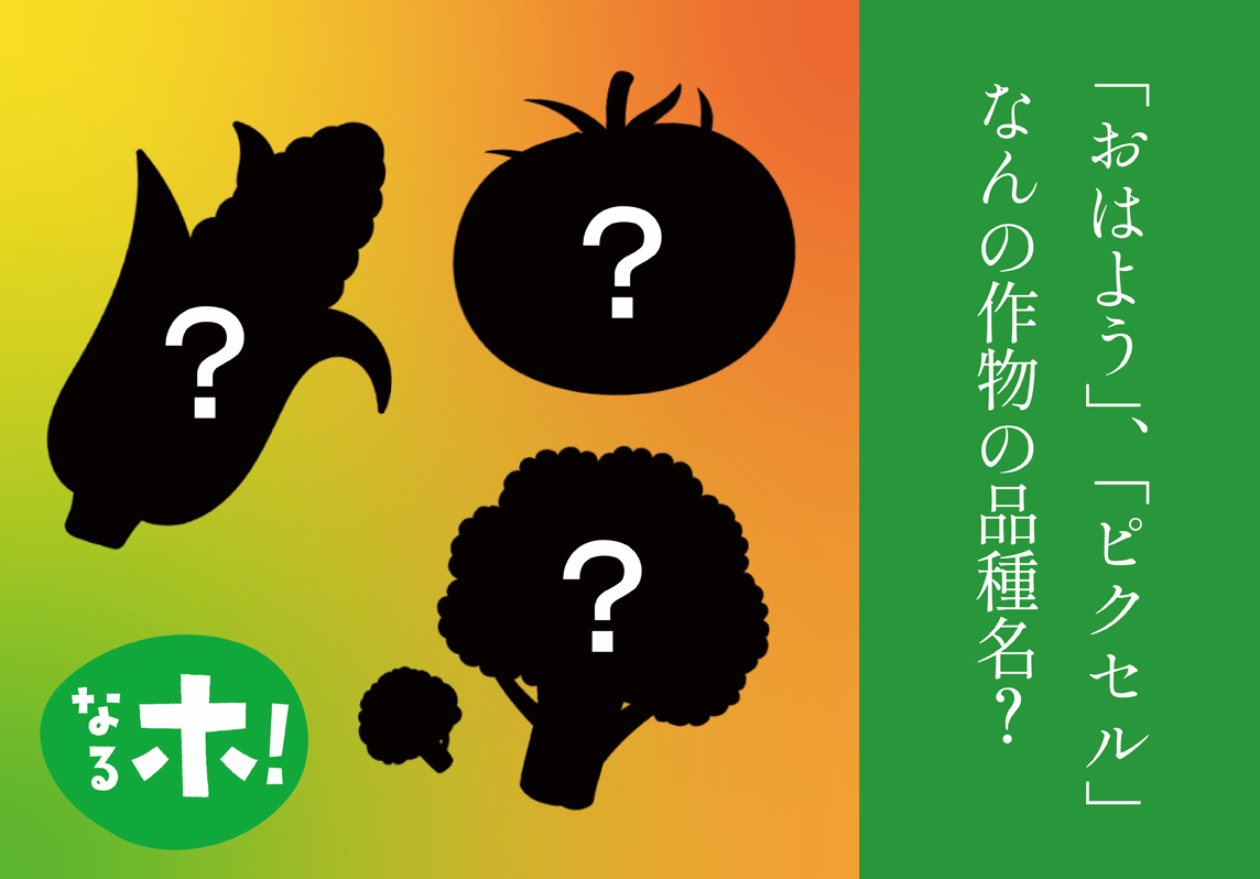 捨てるところはありません！