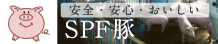 SPF豚