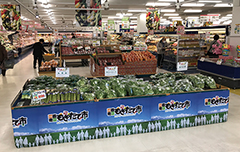 もぎたて市
