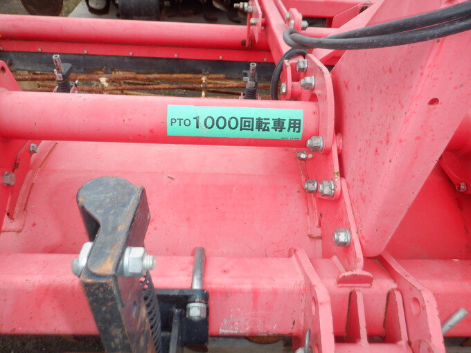 パンタナール　レッドモザイク　ロータス　＊ 無農薬　3株セットA B パンタナルレッドモザイクロータス 3号ポット苗 熱帯睡蓮