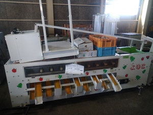 ミニトマト選別機