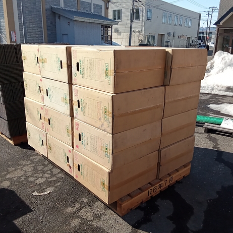 中古ポット苗箱　水稲用