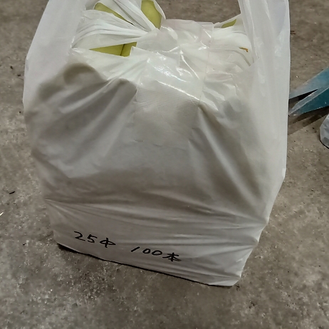 ハウスパッカー25