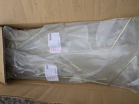 タインスプリング