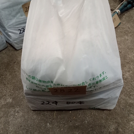 ハウスパッカー22