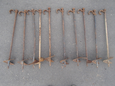 ハウス杭(１０本セット)