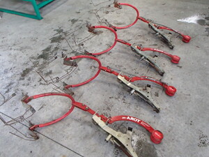 マロットリーナ