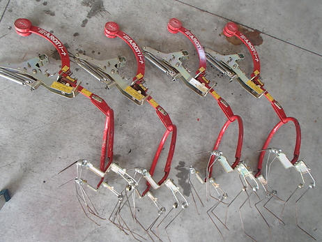 マロットリーナ