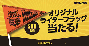 ホクレンフラッグ