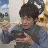 HBC「あぐり王国北海道NEXT」での「ホクレン・卵　編」の放映について