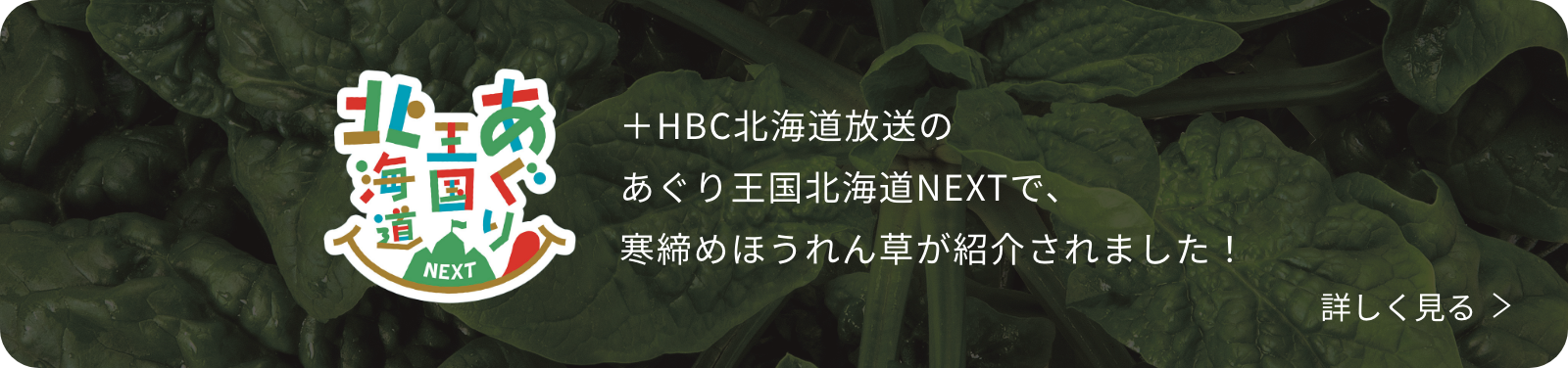 ＋HBC北海道放送のあぐり王国北海道NEXTで、寒締めほうれん草が紹介されました！